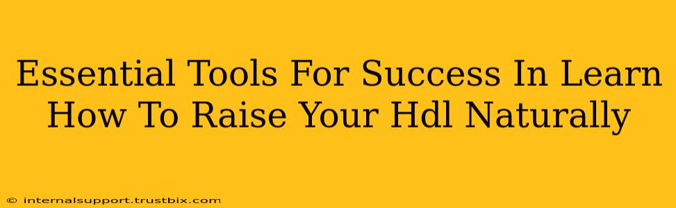 Essential Tools For Success In Learn How To Raise Your Hdl Naturally