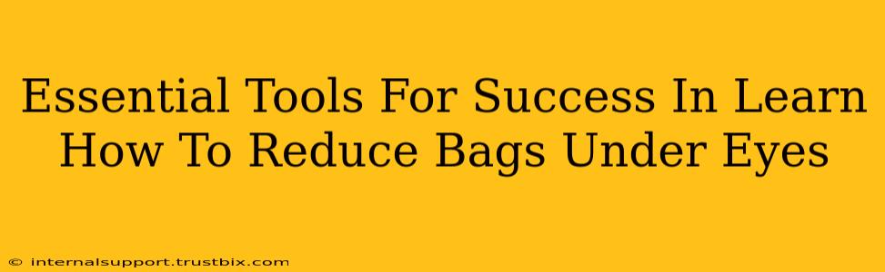 Essential Tools For Success In Learn How To Reduce Bags Under Eyes