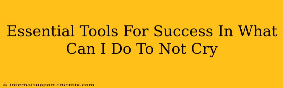 Essential Tools For Success In What Can I Do To Not Cry