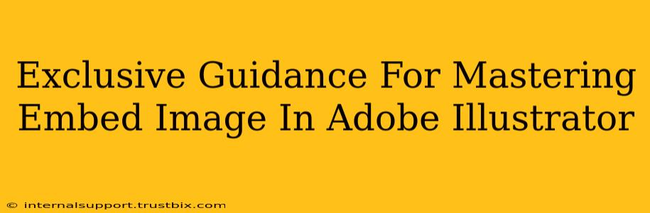 Exclusive Guidance For Mastering Embed Image In Adobe Illustrator