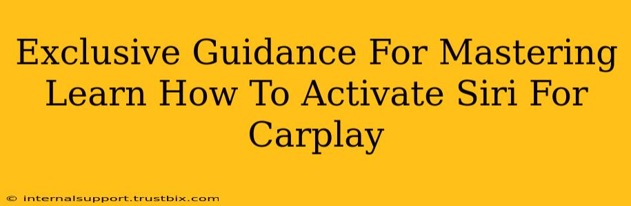 Exclusive Guidance For Mastering Learn How To Activate Siri For Carplay