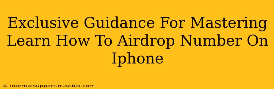 Exclusive Guidance For Mastering Learn How To Airdrop Number On Iphone