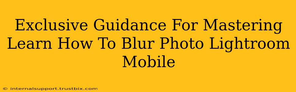 Exclusive Guidance For Mastering Learn How To Blur Photo Lightroom Mobile