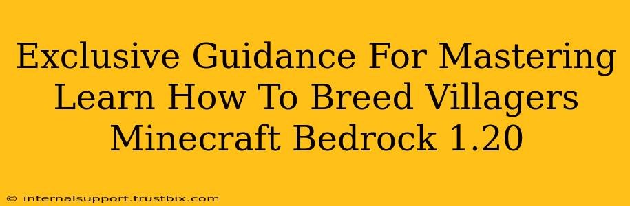 Exclusive Guidance For Mastering Learn How To Breed Villagers Minecraft Bedrock 1.20