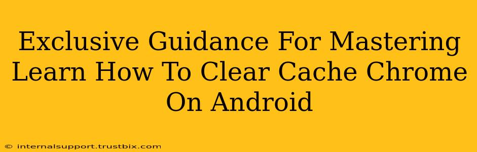 Exclusive Guidance For Mastering Learn How To Clear Cache Chrome On Android