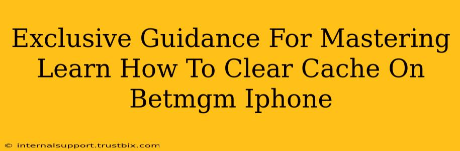 Exclusive Guidance For Mastering Learn How To Clear Cache On Betmgm Iphone