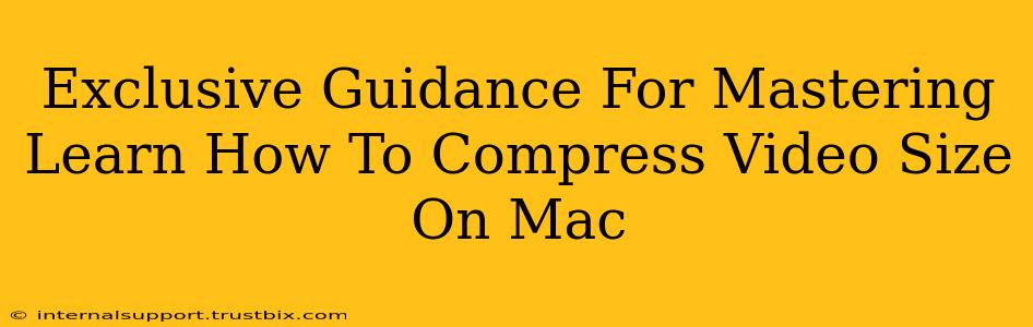 Exclusive Guidance For Mastering Learn How To Compress Video Size On Mac