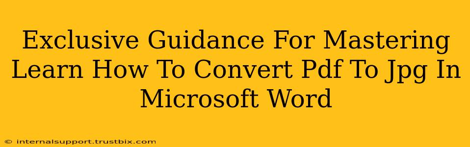 Exclusive Guidance For Mastering Learn How To Convert Pdf To Jpg In Microsoft Word