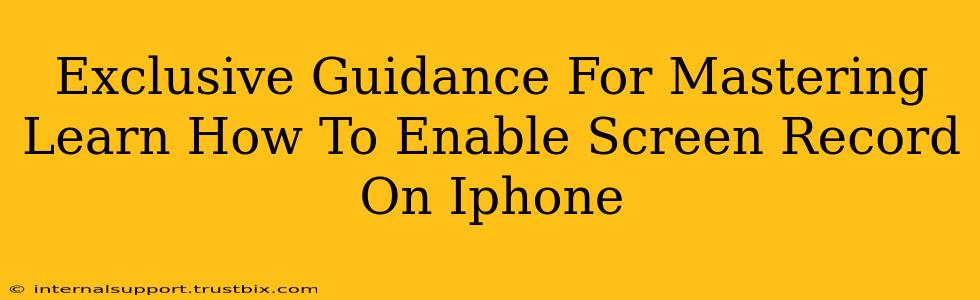 Exclusive Guidance For Mastering Learn How To Enable Screen Record On Iphone