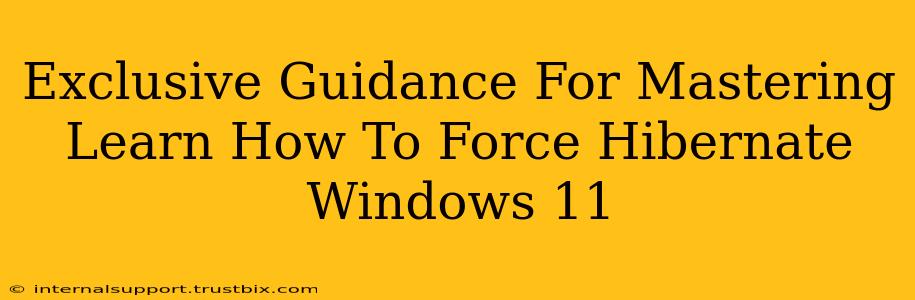 Exclusive Guidance For Mastering Learn How To Force Hibernate Windows 11