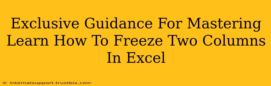 Exclusive Guidance For Mastering Learn How To Freeze Two Columns In Excel