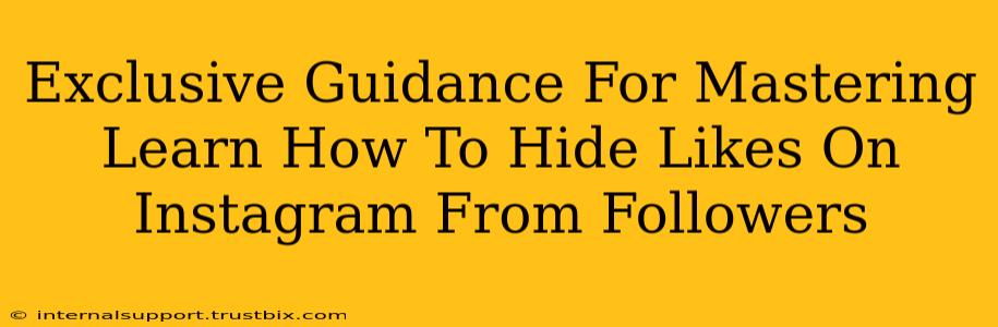 Exclusive Guidance For Mastering Learn How To Hide Likes On Instagram From Followers