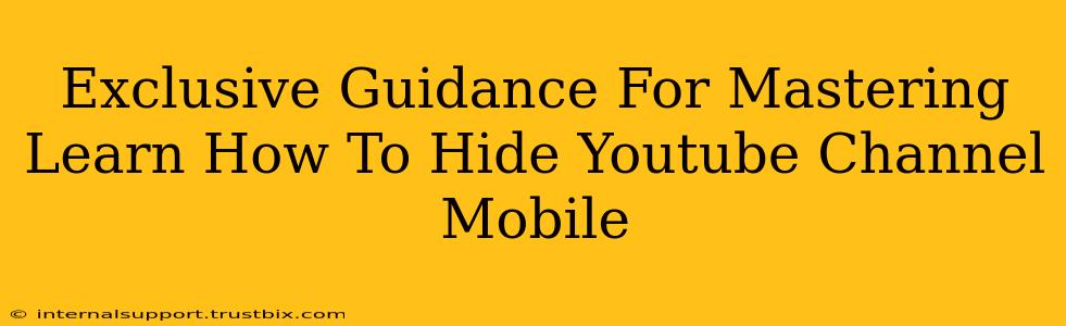 Exclusive Guidance For Mastering Learn How To Hide Youtube Channel Mobile