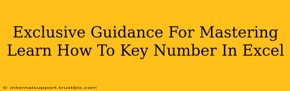 Exclusive Guidance For Mastering Learn How To Key Number In Excel