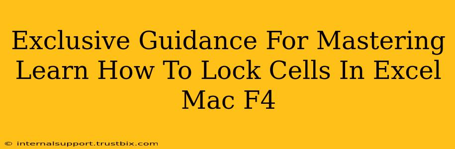 Exclusive Guidance For Mastering Learn How To Lock Cells In Excel Mac F4