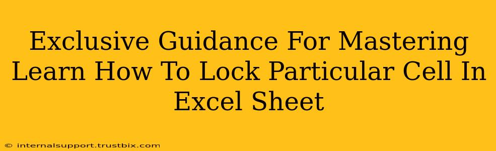 Exclusive Guidance For Mastering Learn How To Lock Particular Cell In Excel Sheet