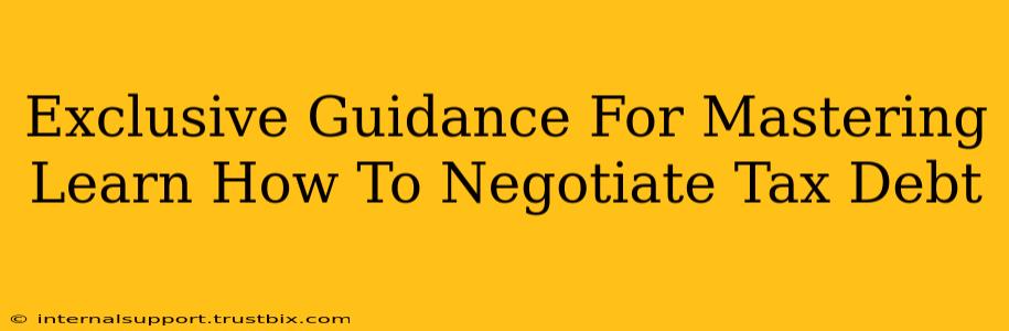 Exclusive Guidance For Mastering Learn How To Negotiate Tax Debt