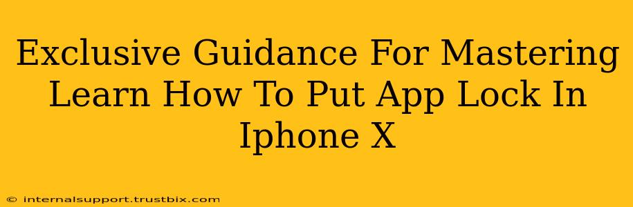 Exclusive Guidance For Mastering Learn How To Put App Lock In Iphone X