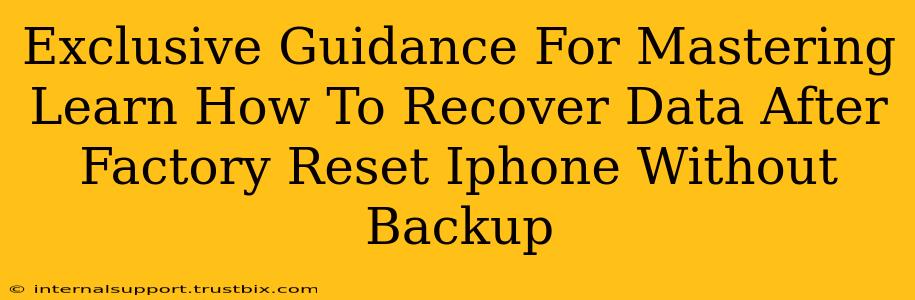 Exclusive Guidance For Mastering Learn How To Recover Data After Factory Reset Iphone Without Backup