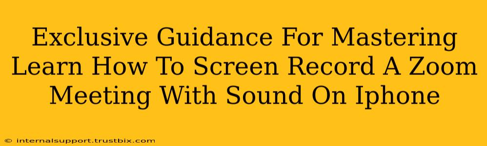 Exclusive Guidance For Mastering Learn How To Screen Record A Zoom Meeting With Sound On Iphone