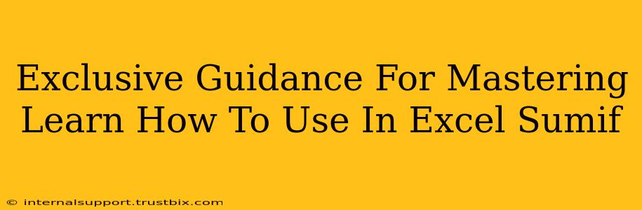 Exclusive Guidance For Mastering Learn How To Use In Excel Sumif