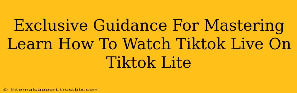 Exclusive Guidance For Mastering Learn How To Watch Tiktok Live On Tiktok Lite