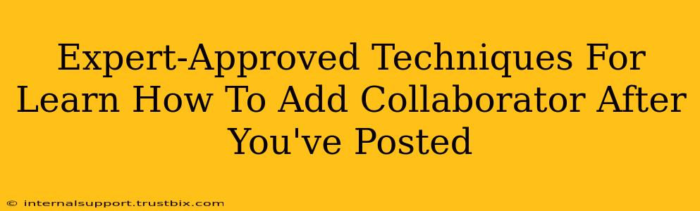 Expert-Approved Techniques For Learn How To Add Collaborator After You've Posted