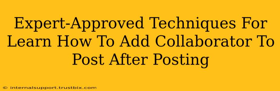 Expert-Approved Techniques For Learn How To Add Collaborator To Post After Posting