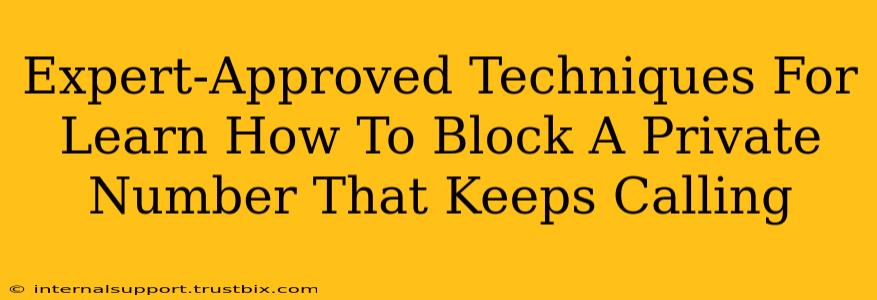 Expert-Approved Techniques For Learn How To Block A Private Number That Keeps Calling