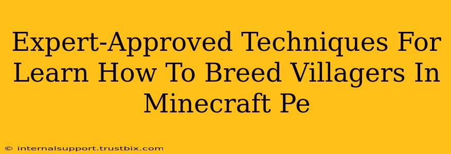 Expert-Approved Techniques For Learn How To Breed Villagers In Minecraft Pe