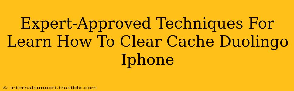 Expert-Approved Techniques For Learn How To Clear Cache Duolingo Iphone