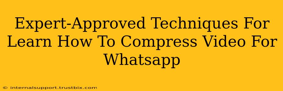 Expert-Approved Techniques For Learn How To Compress Video For Whatsapp