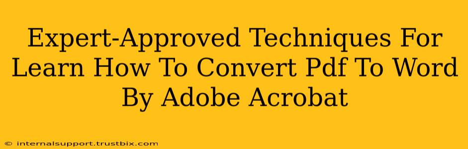 Expert-Approved Techniques For Learn How To Convert Pdf To Word By Adobe Acrobat