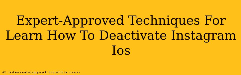 Expert-Approved Techniques For Learn How To Deactivate Instagram Ios