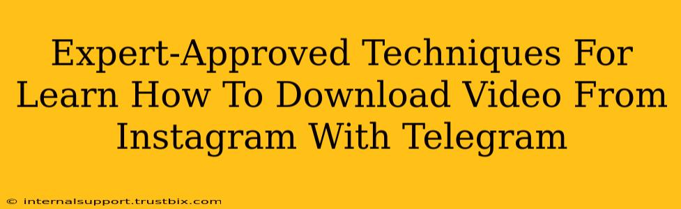 Expert-Approved Techniques For Learn How To Download Video From Instagram With Telegram