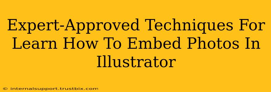 Expert-Approved Techniques For Learn How To Embed Photos In Illustrator