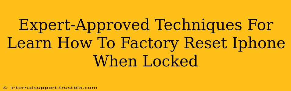 Expert-Approved Techniques For Learn How To Factory Reset Iphone When Locked