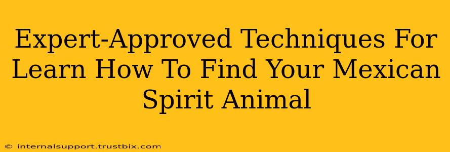 Expert-Approved Techniques For Learn How To Find Your Mexican Spirit Animal