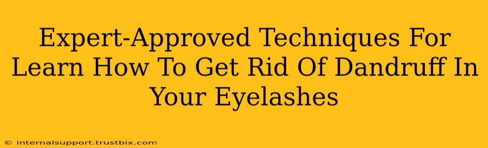 Expert-Approved Techniques For Learn How To Get Rid Of Dandruff In Your Eyelashes