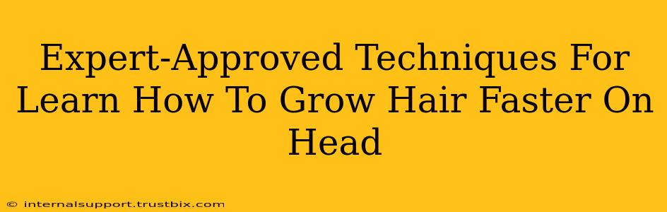 Expert-Approved Techniques For Learn How To Grow Hair Faster On Head