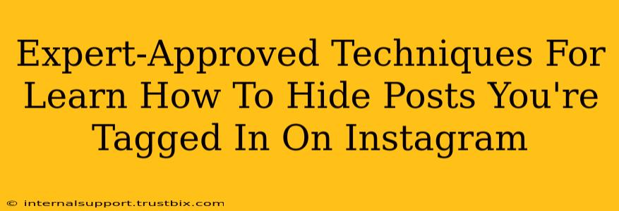 Expert-Approved Techniques For Learn How To Hide Posts You're Tagged In On Instagram