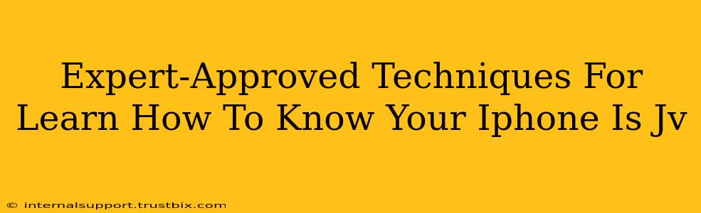 Expert-Approved Techniques For Learn How To Know Your Iphone Is Jv