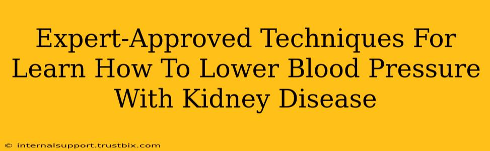 Expert-Approved Techniques For Learn How To Lower Blood Pressure With Kidney Disease