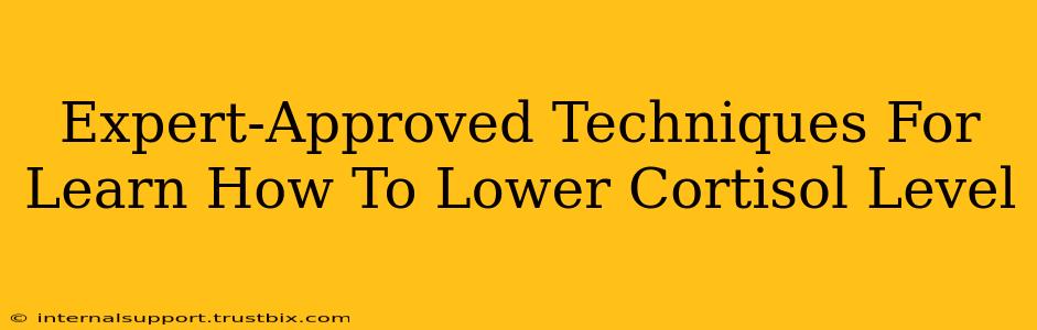 Expert-Approved Techniques For Learn How To Lower Cortisol Level