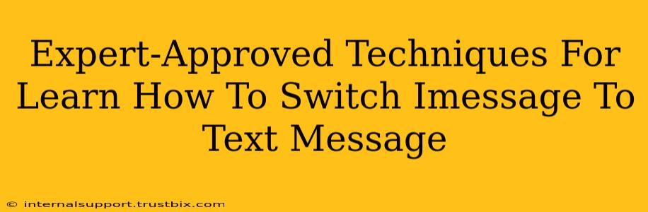 Expert-Approved Techniques For Learn How To Switch Imessage To Text Message