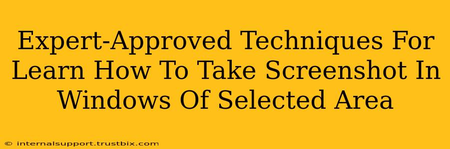 Expert-Approved Techniques For Learn How To Take Screenshot In Windows Of Selected Area