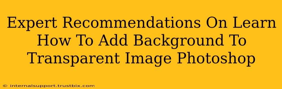 Expert Recommendations On Learn How To Add Background To Transparent Image Photoshop