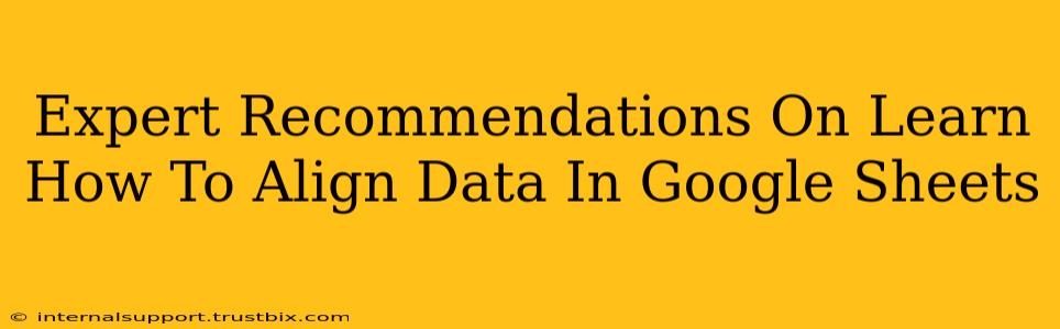 Expert Recommendations On Learn How To Align Data In Google Sheets