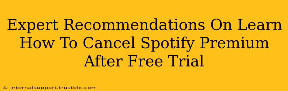 Expert Recommendations On Learn How To Cancel Spotify Premium After Free Trial