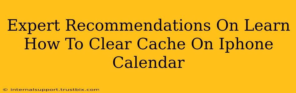 Expert Recommendations On Learn How To Clear Cache On Iphone Calendar